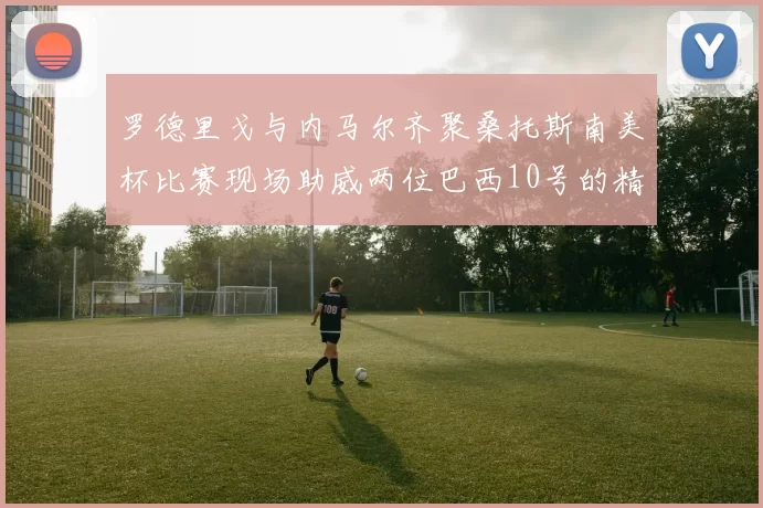 罗德里戈与内马尔齐聚桑托斯南美杯比赛现场助威两位巴西10号的精彩时刻