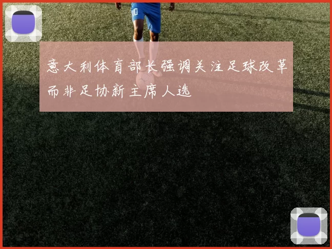意大利体育部长强调关注足球改革而非足协新主席人选